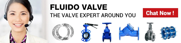 Good Price Flange Ended Cast Iron Non Rising O&Y Resilient Seated Industrial Control Gate Valve Sluice Valve F4 Gate Valve Price