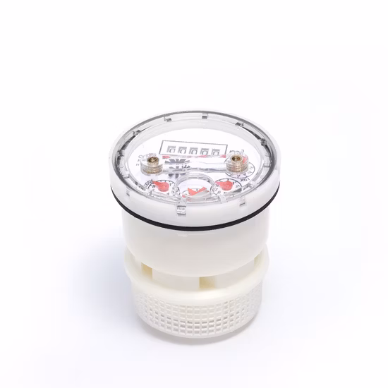 R160 Multi Jet Dry Type Water Meter with AMR (NX