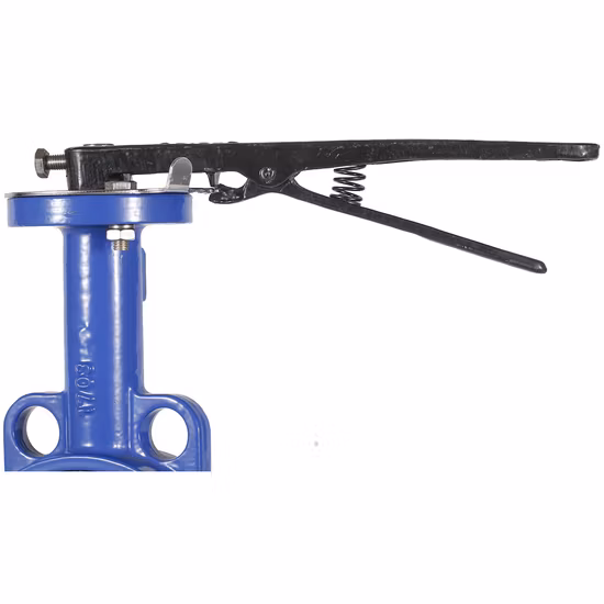 Ductile Cast Iron Stainless Steel Seat Water Wafer Lug Type Double Flange Wafer Lug Butterfly Valve Suppliers